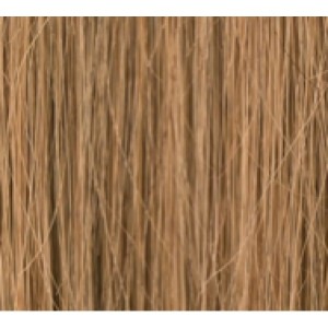 stranded 100% real hair WEFT colour 8