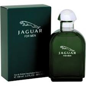 JAGUAR FOR MEN 100ML EDT SPRAY